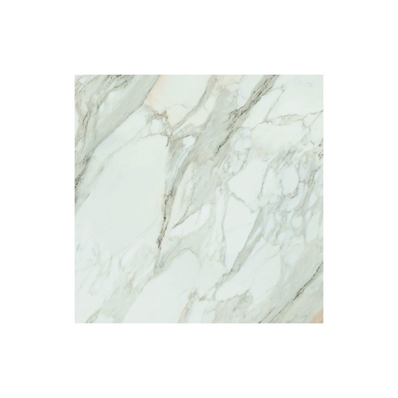 Calacatta Gold White Matt 120x120cm (box of 2)