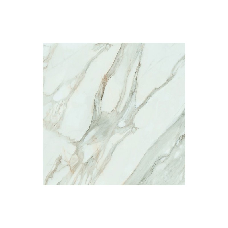 Calacatta Gold White Matt 120x120cm (box of 2)