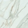 Calacatta Gold White Matt 120x120cm (box of 2)