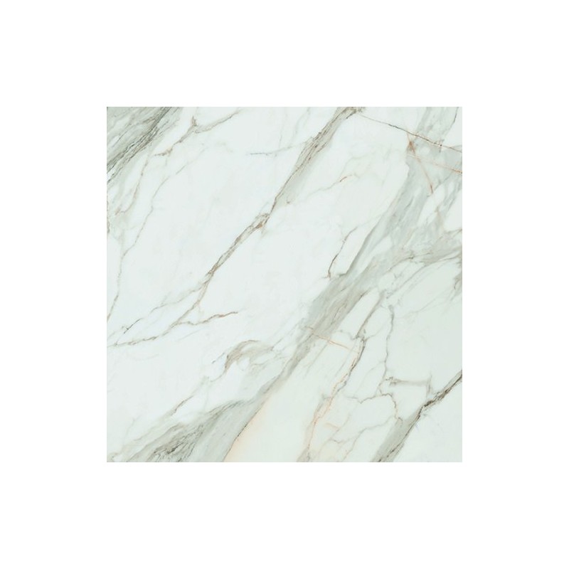 Calacatta Gold White Matt 120x120cm (box of 2)