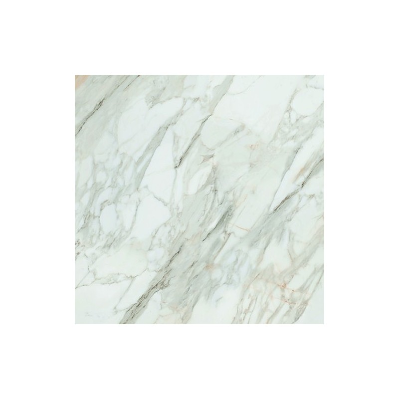 Calacatta Gold White Matt 120x120cm (box of 2)