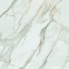 Calacatta Gold White Matt 120x120cm (box of 2)