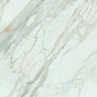 Calacatta Gold White Matt 120x120cm (box of 2)