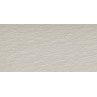 Lounge Light Grey Rustic 30x60cm (box of 6)