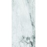 Medicea Marble White Full Lappato 60x120cm (box of 2)