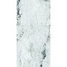 Medicea Marble White Full Lappato 60x120cm (box of 2)