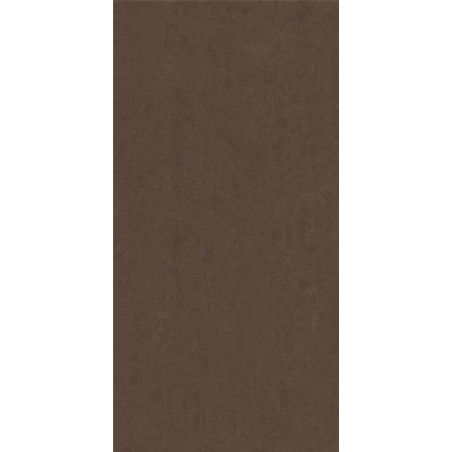 Lounge Mocca Polished 30x60cm (box of 6)