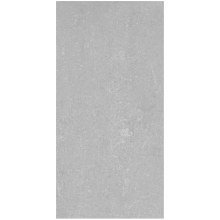 Lounge Grey Polished 30x60cm (box of 6)