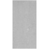 Lounge Grey Polished 30x60cm (box of 6)