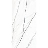 Venato Marble White Full Lappato 60x120cm (box of 2)