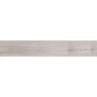 Daintree Grey 9.8x59.3cm (box of 15)