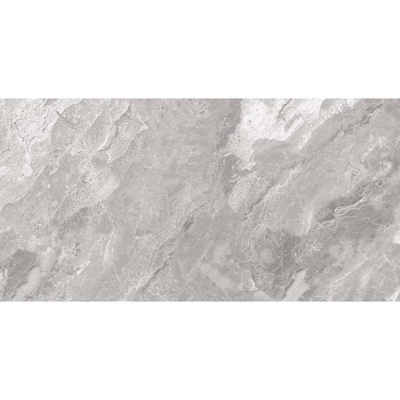 Lamia Grey 30x60cm (box of 6)