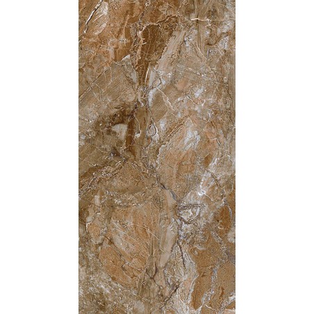 Everest Gris 25x50cm (box of 12)