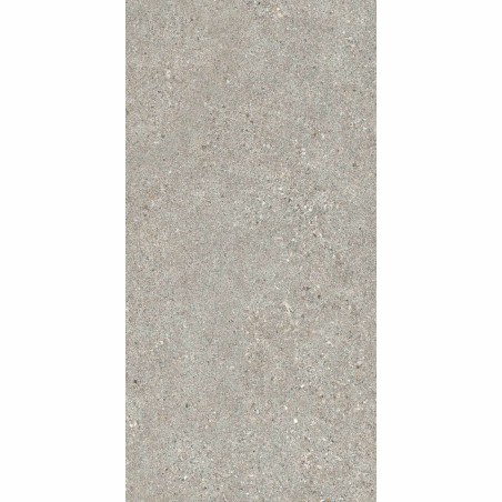 Manhattan Grey 60x120cm (box of 2)