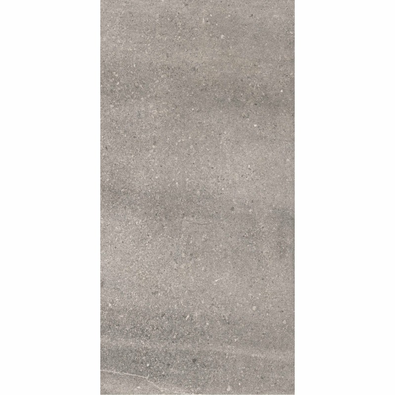 Pietra Moda Grey 60x120cm (box of 2)