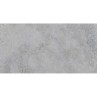 Columbia Grey 60x120cm (box of 2)