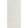 Porto White (Pearl) 29.2x58.5cm (box of 8)