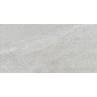 Longstone Grey Decor 25x50cm (box of 16)