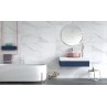 Vesta Carrara Decor 25x75cm (box of 9)